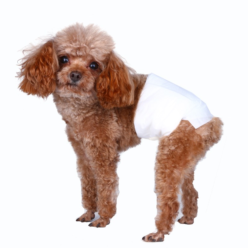 Male dog diapers（L）